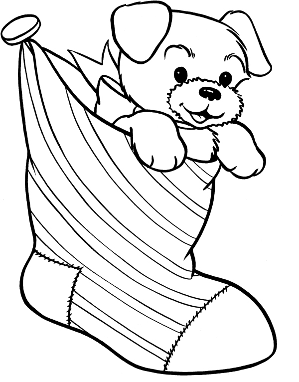 dog coloring pages noah
